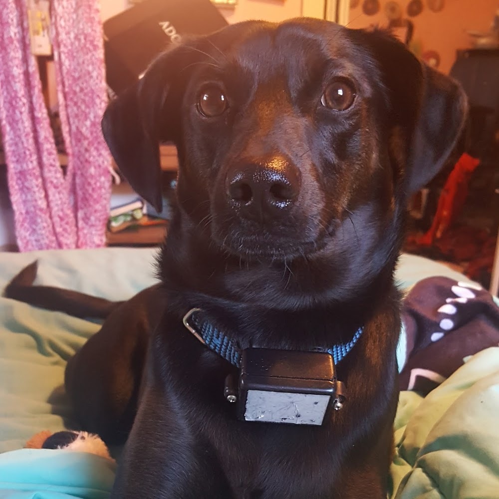 Meet your Posher, April